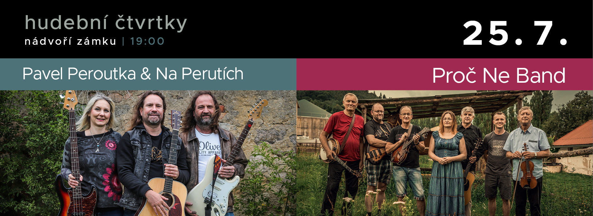 Pavel Peroutka & Na Perutích / Proč Ne Band