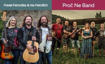 Pavel Peroutka & Na Perutích / Proč Ne Band